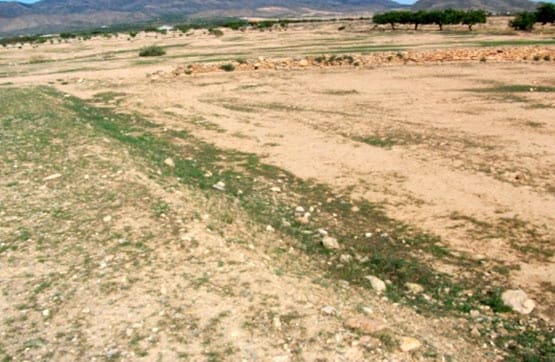 Building Plot for rent in Fuente Alamo de Murcia - € 1,096 (Ref: 8514752)