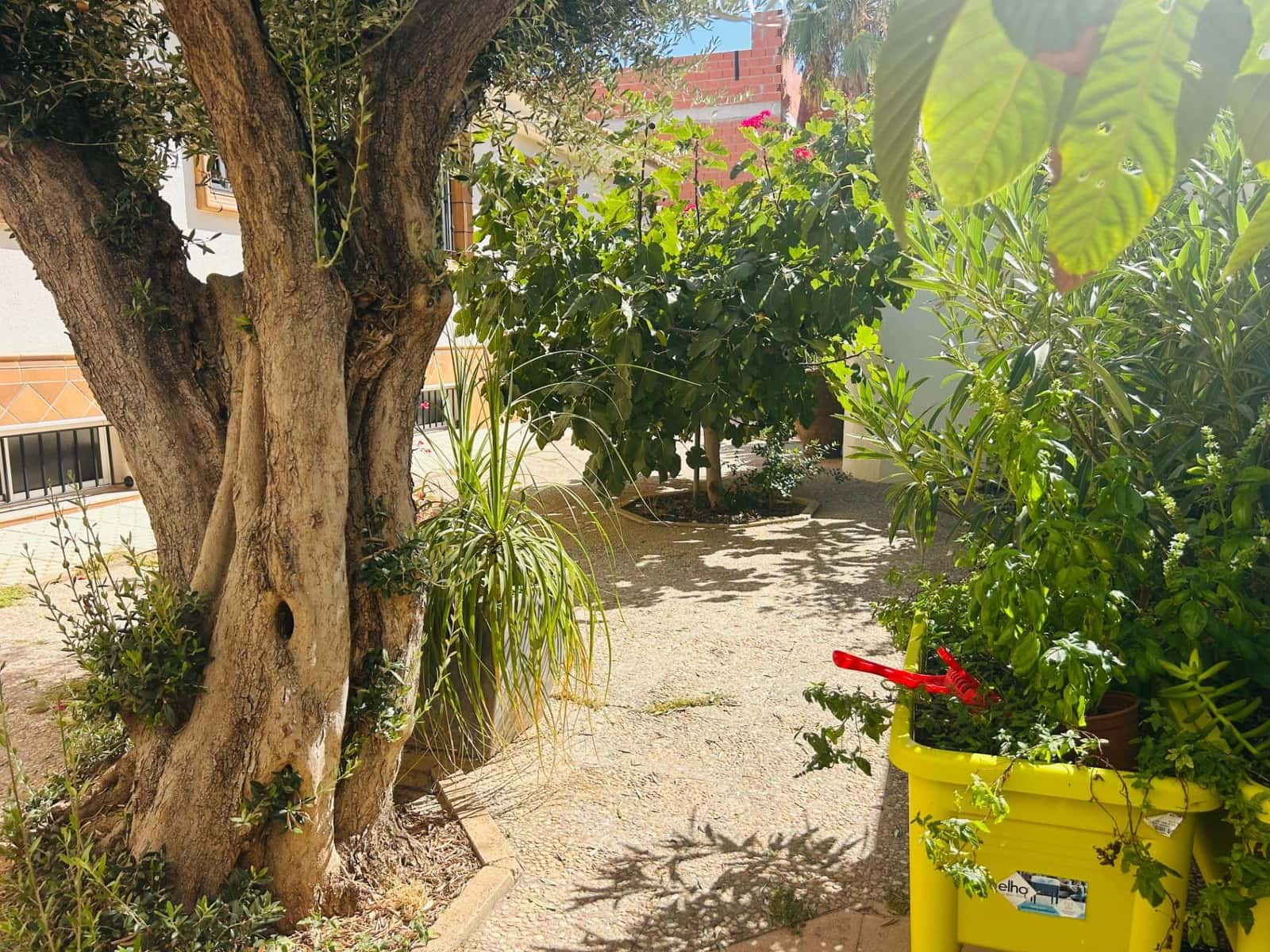 4 slaapkamer Villa te koop in San Pedro del Pinatar met garage - € 580.000 (Ref: 9285308)