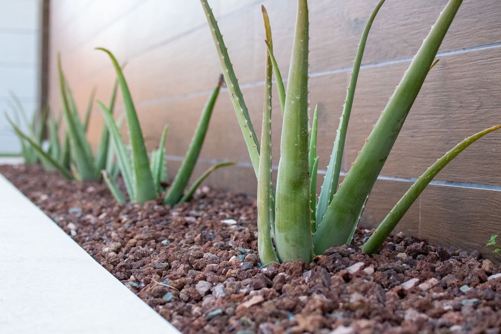 3 sypialnia Willa na sprzedaż w Los Montesinos z basenem garażem - 509 000 € (Ref: 8155918)