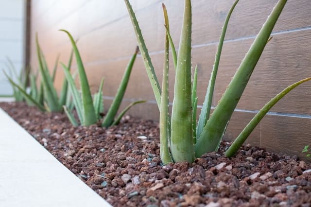 3 sypialnia Willa na sprzedaż w Los Montesinos z basenem garażem - 509 000 € (Ref: 8155918)