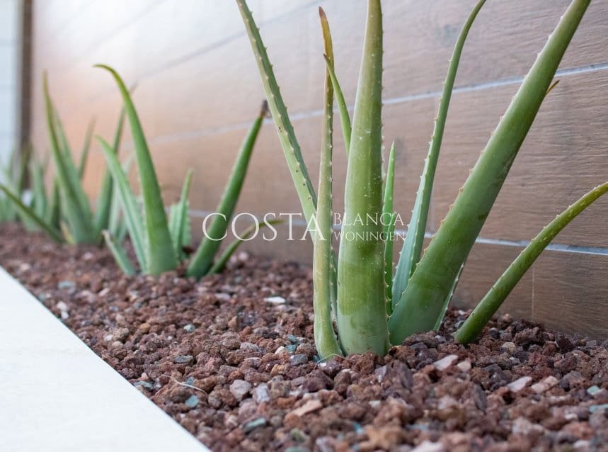 3 sypialnia Willa na sprzedaż w Los Montesinos z basenem garażem - 509 000 € (Ref: 8155918)