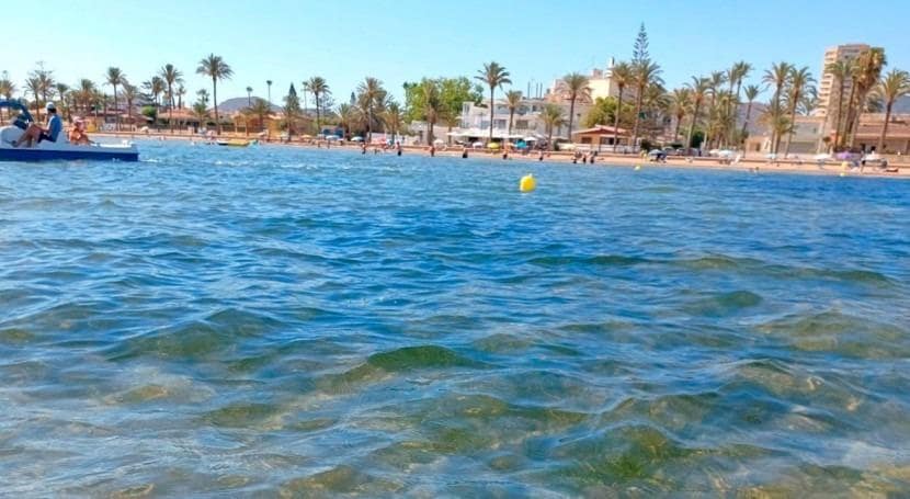 3 soveværelse Villa til salg i Roldan med swimmingpool garage - € 325.950 (Ref: 9053522)