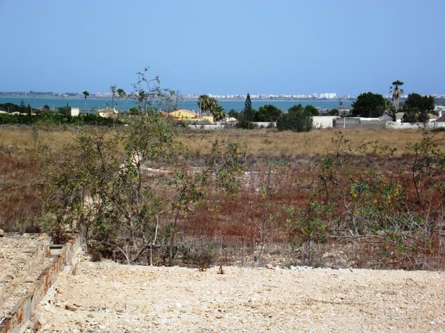 3 sypialnia Willa na sprzedaż w Los Montesinos z basenem garażem - 3 000 000 € (Ref: 9198811)