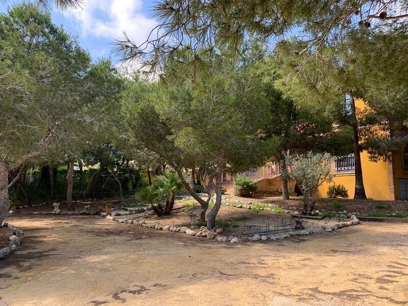 6 bedroom Villa for sale in Ciudad Quesada - € 1,000,000 (Ref: 9198818)