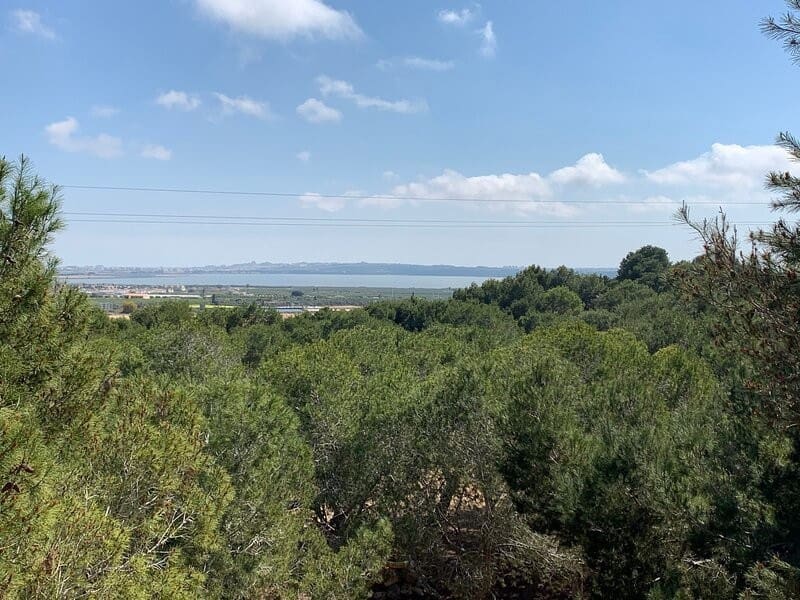 6 bedroom Villa for sale in Ciudad Quesada - € 1,000,000 (Ref: 9198818)