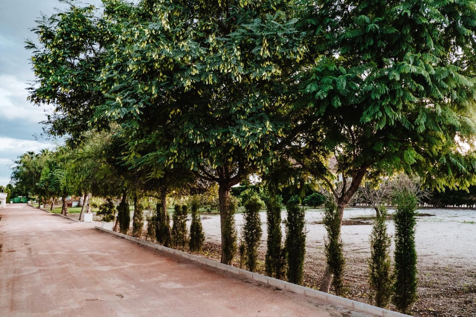 1 sypialnia Willa na sprzedaż w Catral z basenem garażem - 799 999 € (Ref: 9198846)