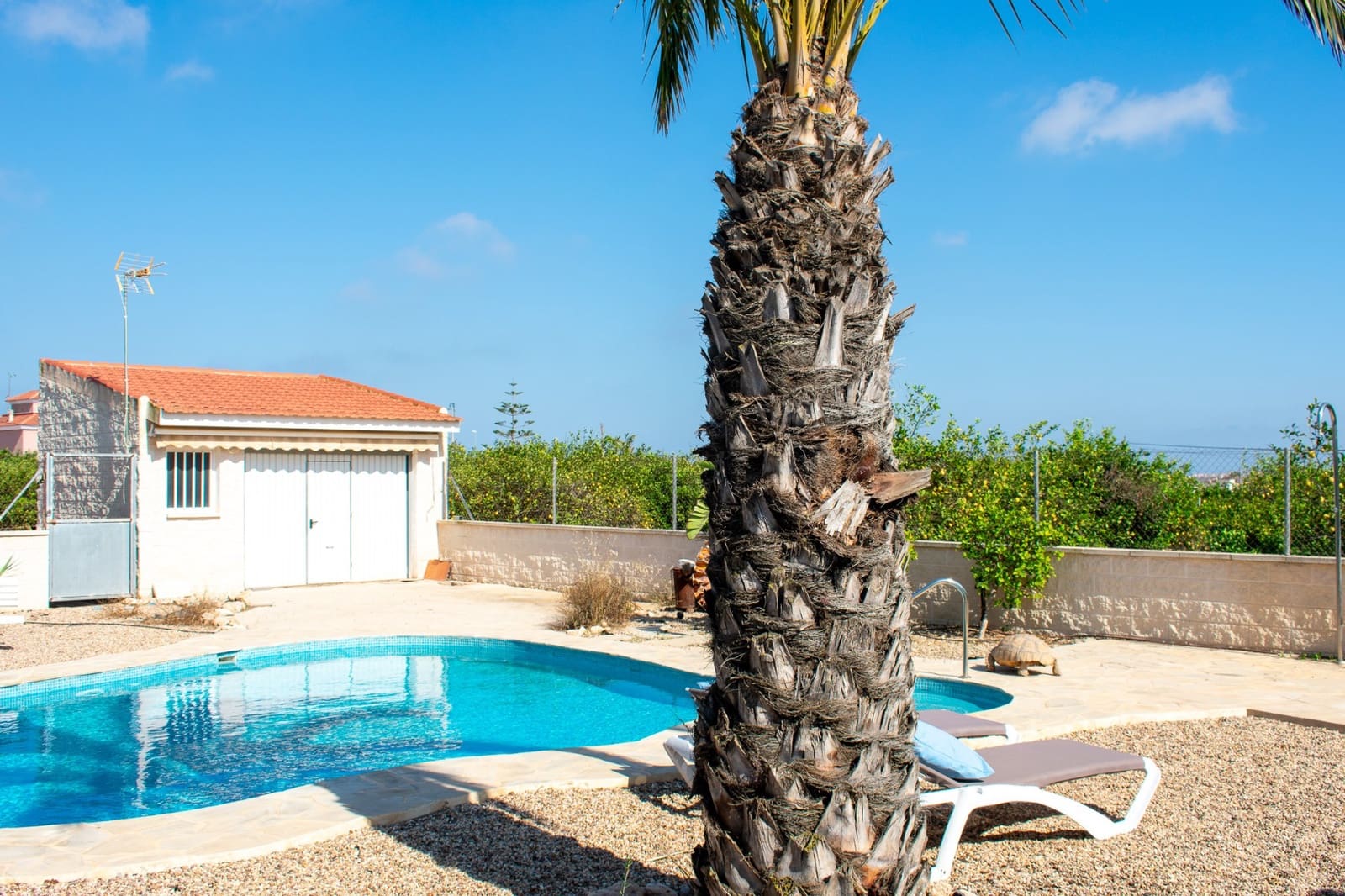 3 slaapkamer Villa te koop in El Raso met zwembad - € 595.000 (Ref: 9198856)