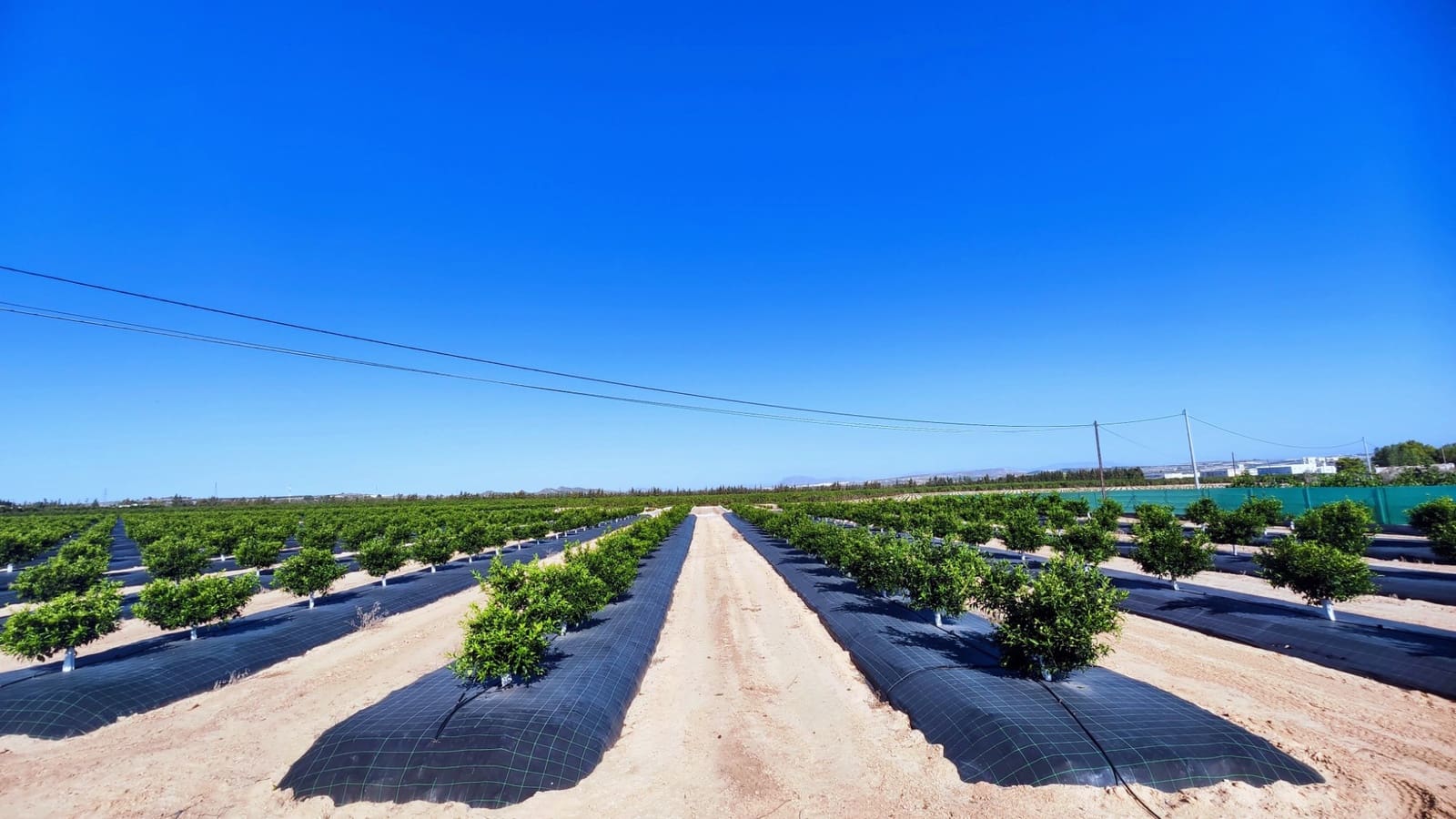 Chalet de 5 habitaciones en San Miguel de Salinas en venta con piscina garaje - 1.499.000 € (Ref: 9198862)