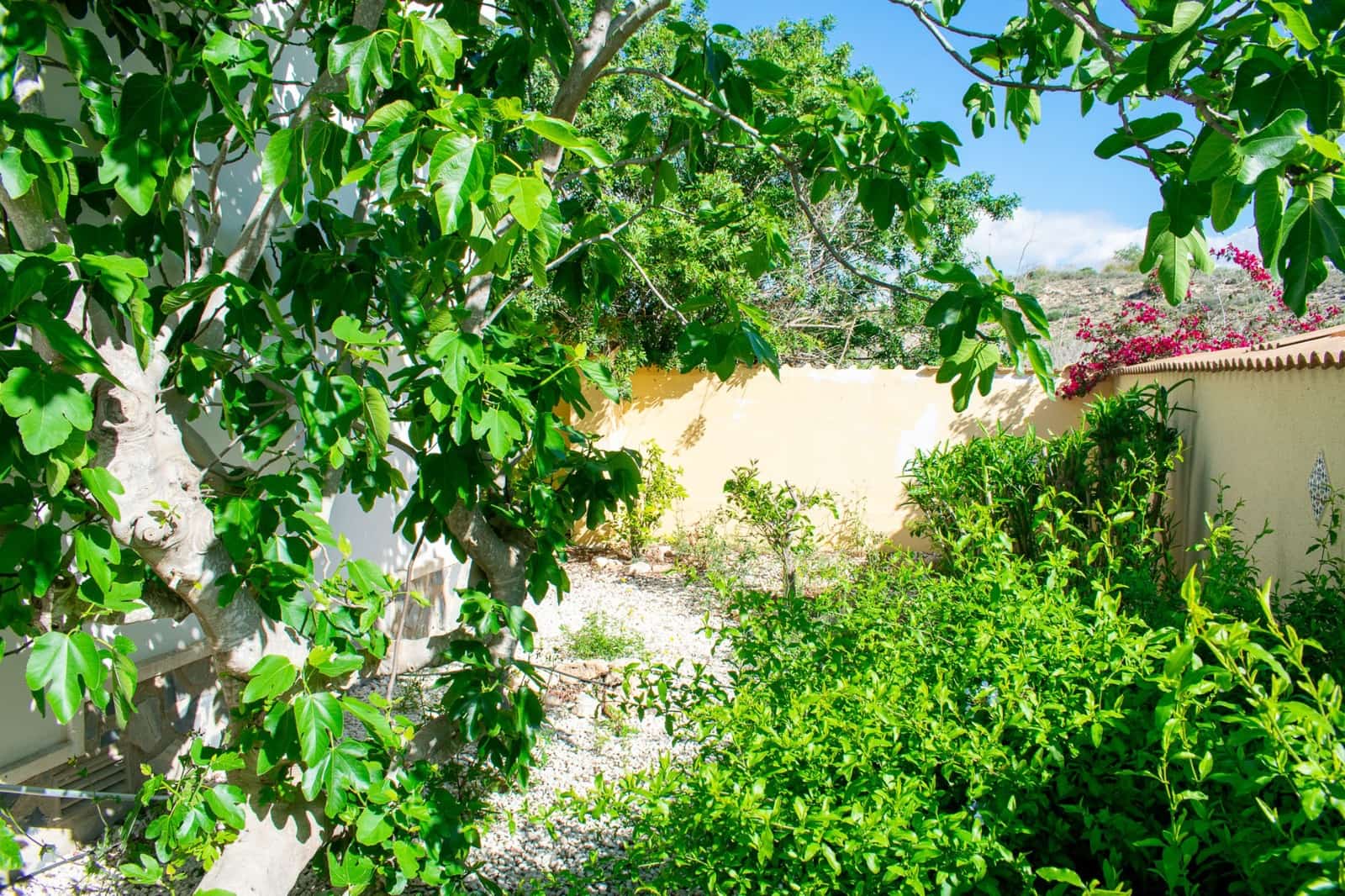 4 bedroom Villa for sale in Ciudad Quesada with pool - € 399,950 (Ref: 9198992)