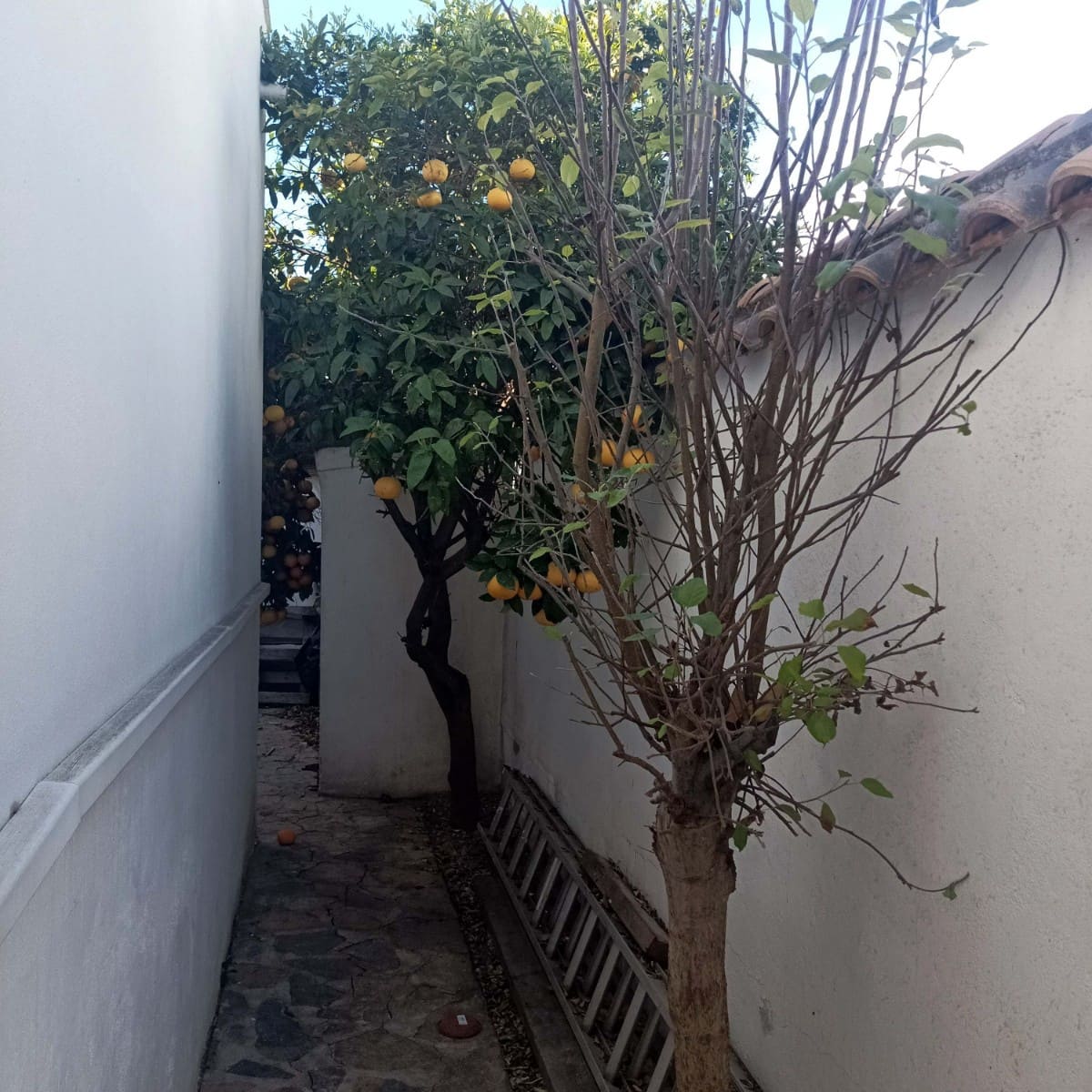 4 soveværelse Villa til salg i La Florida med swimmingpool - € 369.950 (Ref: 9199015)