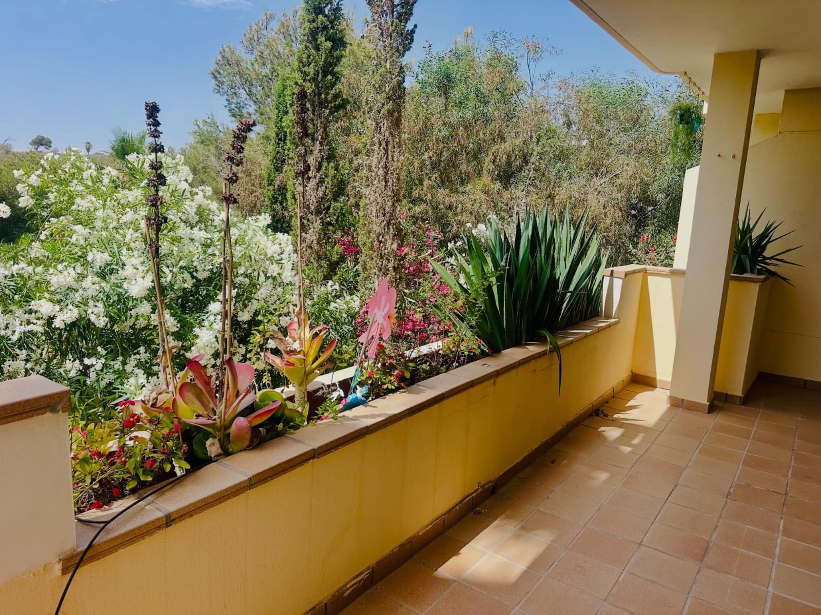 2 quarto Apartamento para venda em Campoamor com piscina - 220 000 € (Ref: 9199065)