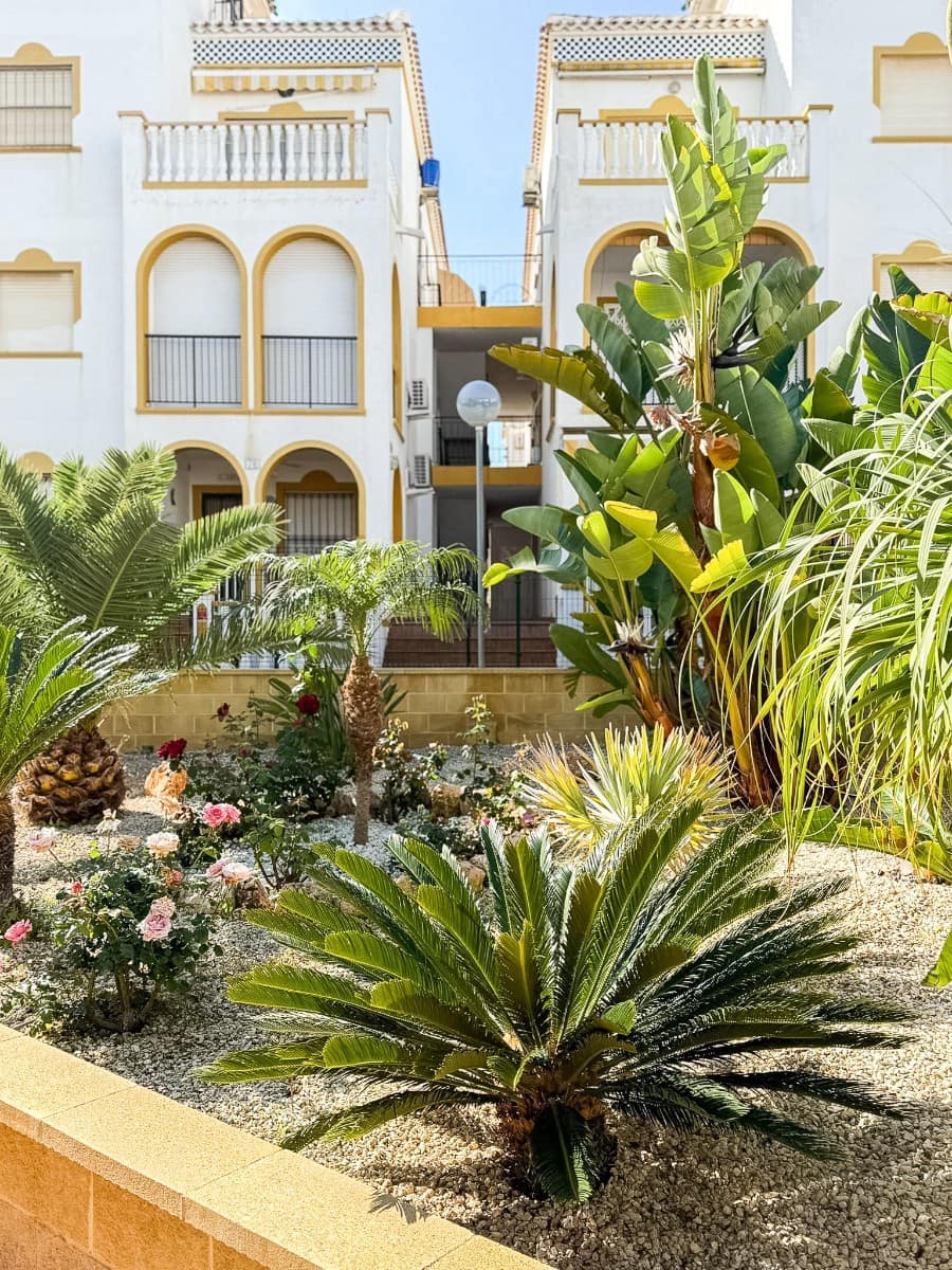 3 soverom Leilighet til salgs i La Mata med svømmebasseng - € 269 000 (Ref: 9199115)