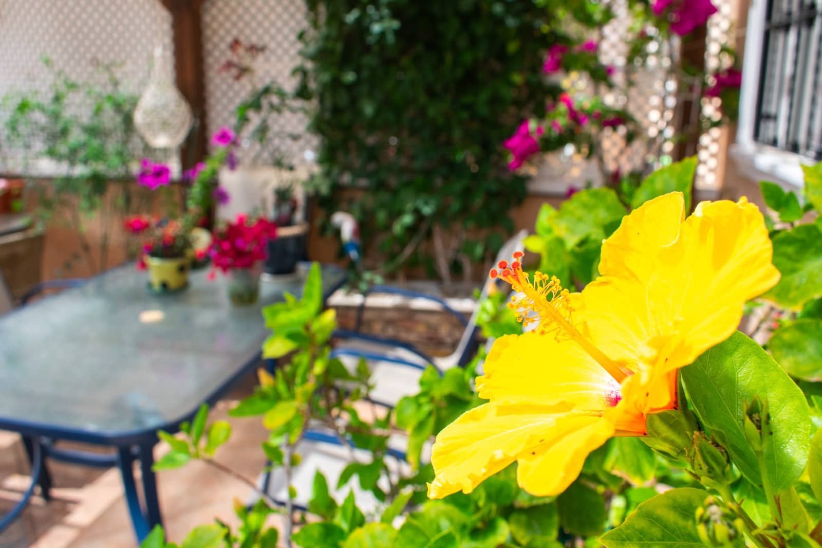 2 soveværelse Byhus til salg i Los Dolses - € 219.900 (Ref: 9199200)