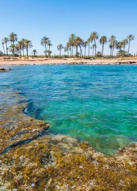 3 soveværelse Lejlighed til salg i Torrevieja med swimmingpool - € 364.000 (Ref: 9350306)