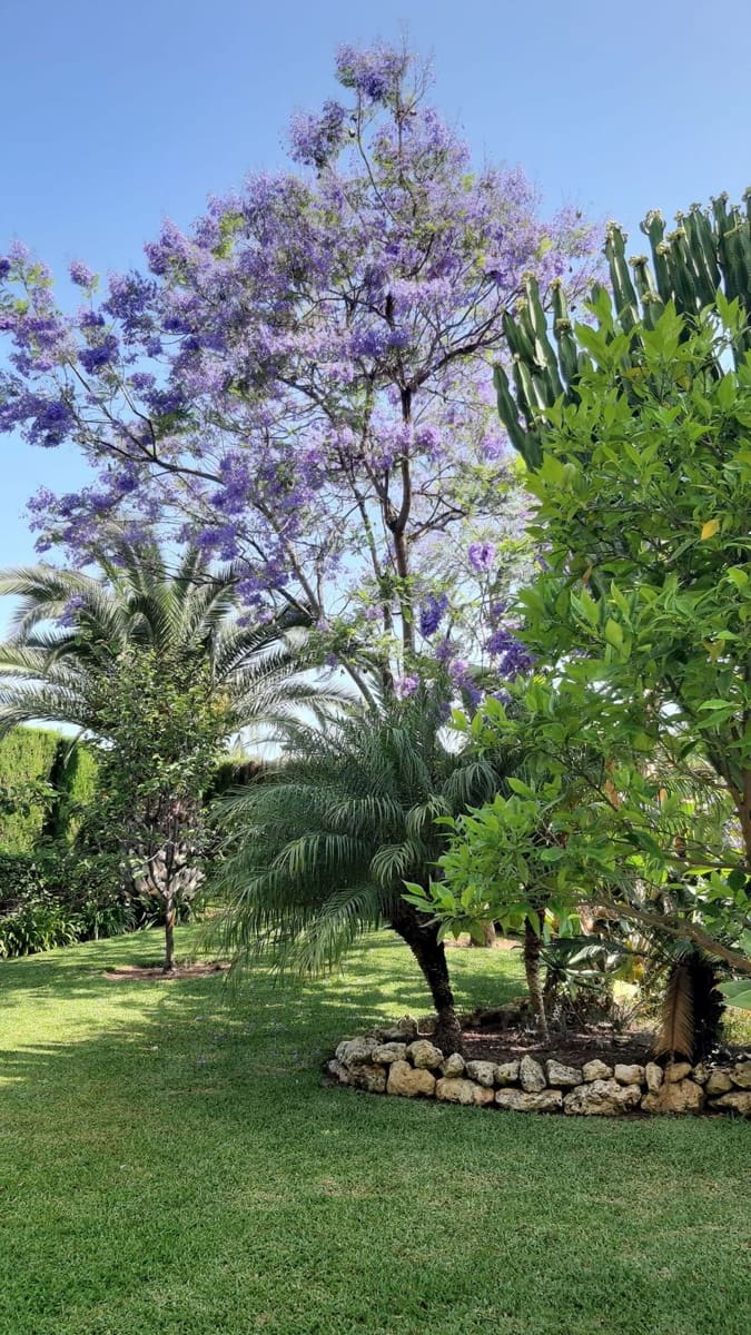 2 soverom Leilighet til salgs i Los Monteros med svømmebasseng garasje - € 485 000 (Ref: 9105263)