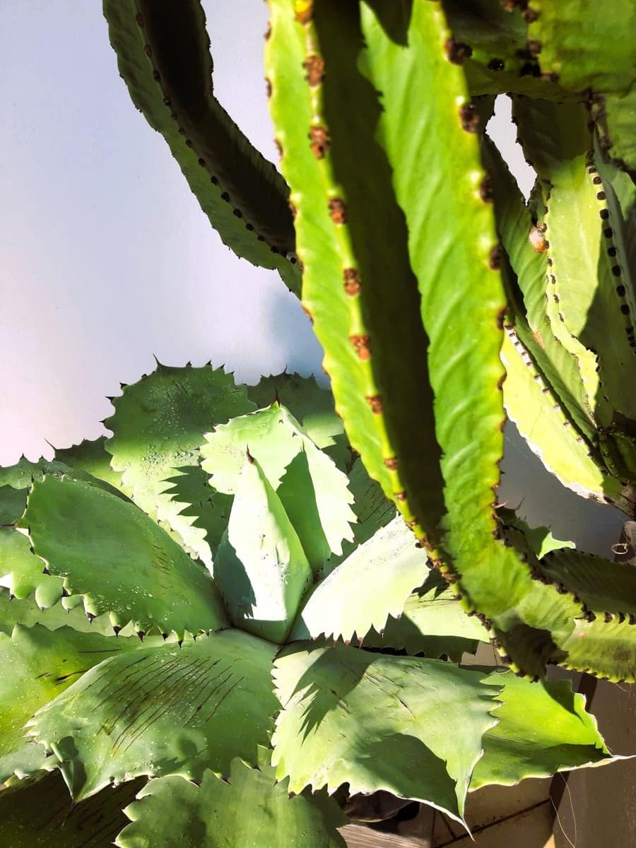 5 bedroom Villa for sale in Mijas with pool garage - € 1,285,000 (Ref: 9238886)