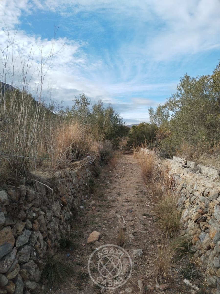 Działka budowlana na sprzedaż w Murla - 152 000 € (Ref: 8924611)