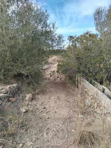 Building Plot for sale in Murla - € 152,000 (Ref: 8924611)