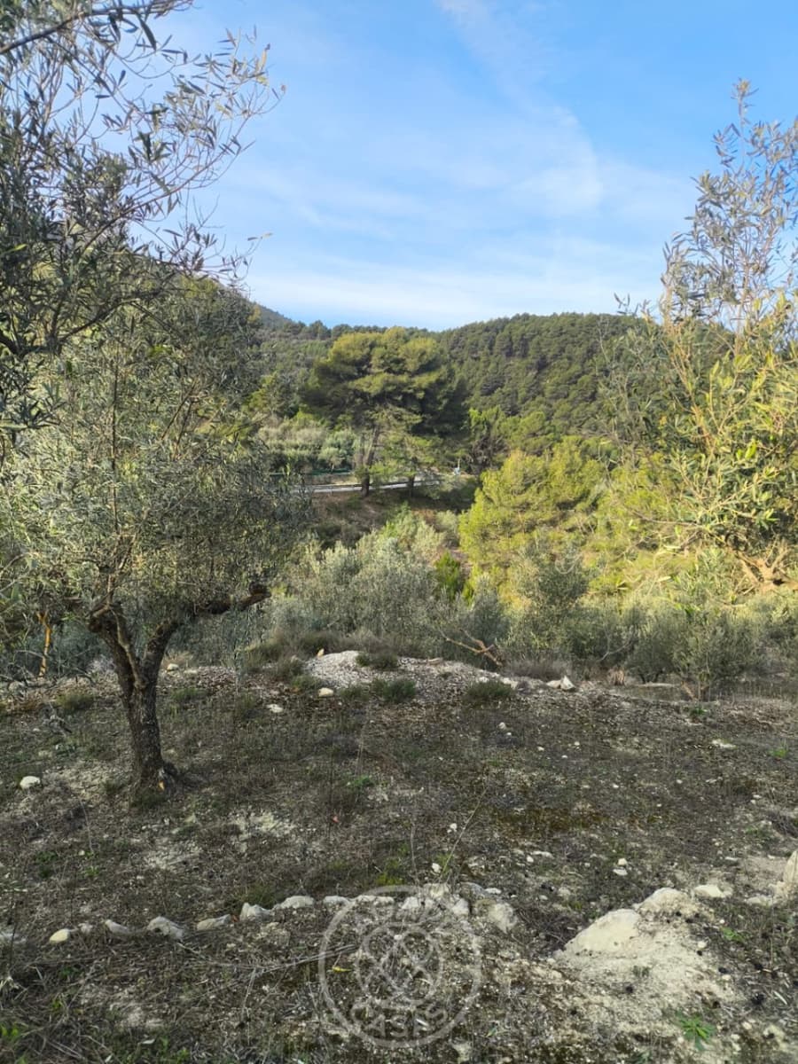 Building Plot for sale in Castell de Castells - € 52,000 (Ref: 9415106)