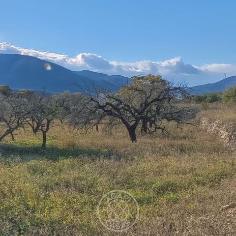 Bouwgrond te koop in Jalón / Xaló - € 184.000 (Ref: 9415109)