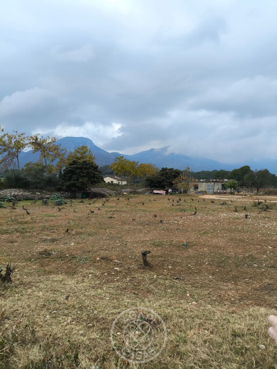 Terrain à Bâtir à vendre à Jalon / Xalo - 173 000 € (Ref: 9485480)