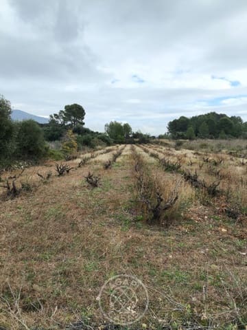 Terrain à Bâtir à vendre à Jalón / Xaló - 173 000 € (Ref: 9485480)