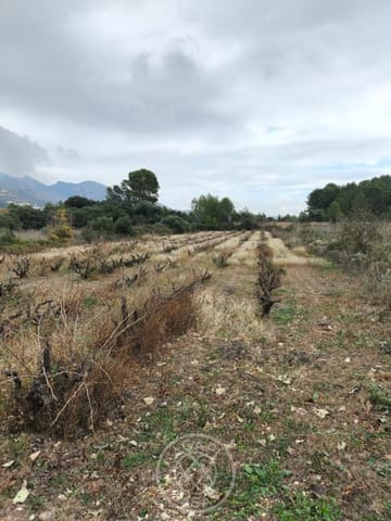 Terrain à Bâtir à vendre à Jalón / Xaló - 173 000 € (Ref: 9485480)