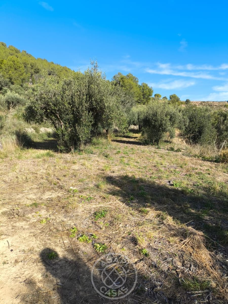 Finca/Country House for sale in Jalon / Xalo with garage - € 87,000 (Ref: 9485481)