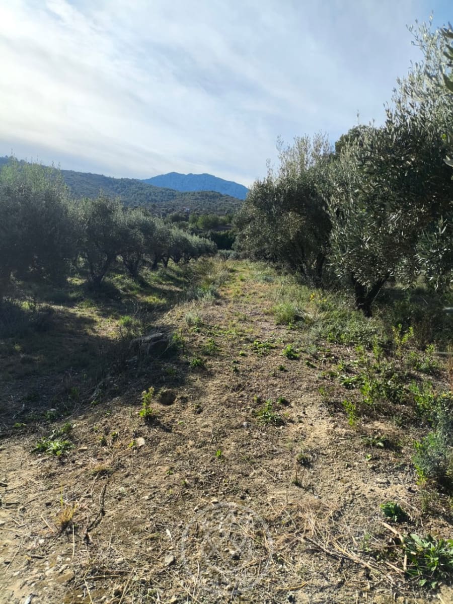 Finca/Country House for sale in Jalon / Xalo with garage - € 87,000 (Ref: 9485481)