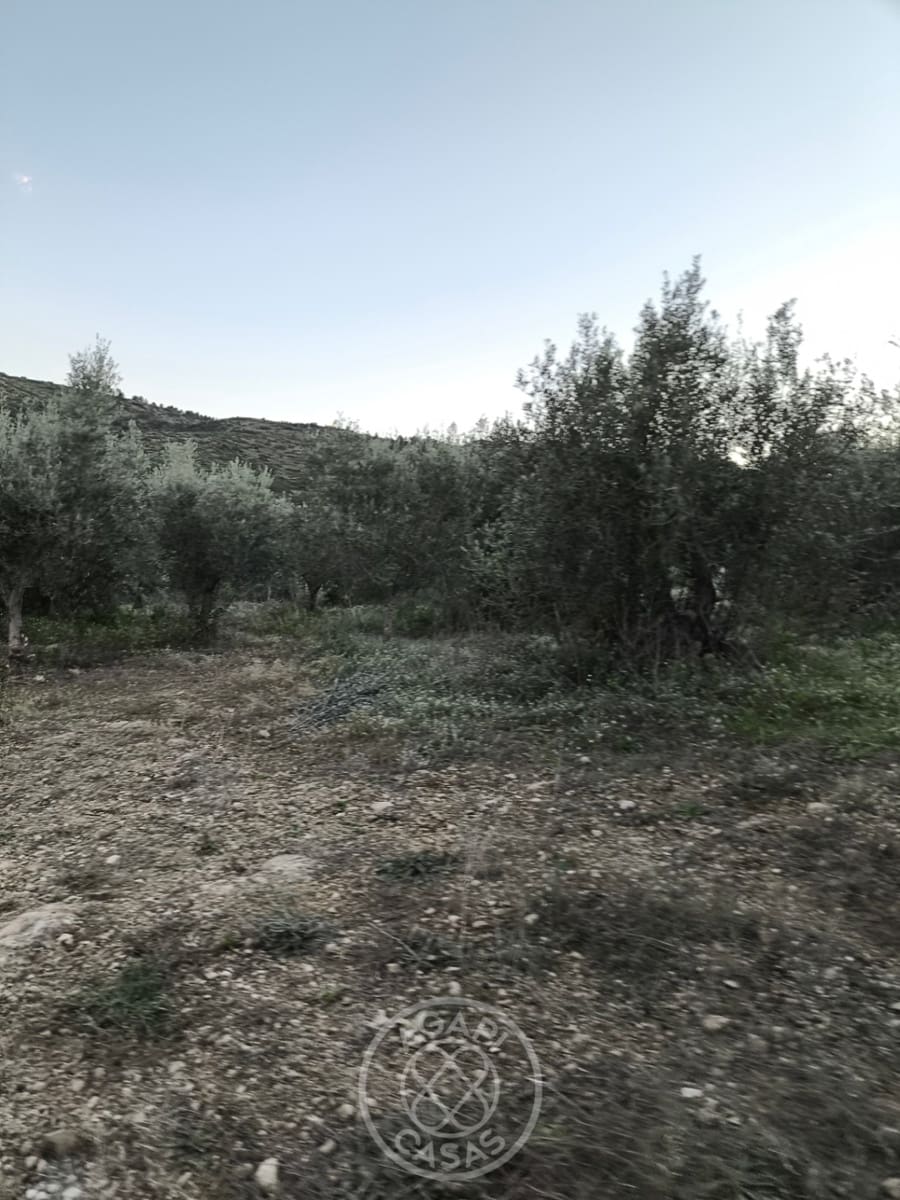 Finca/Country House for sale in Jalon / Xalo with pool garage - € 279,000 (Ref: 9485483)