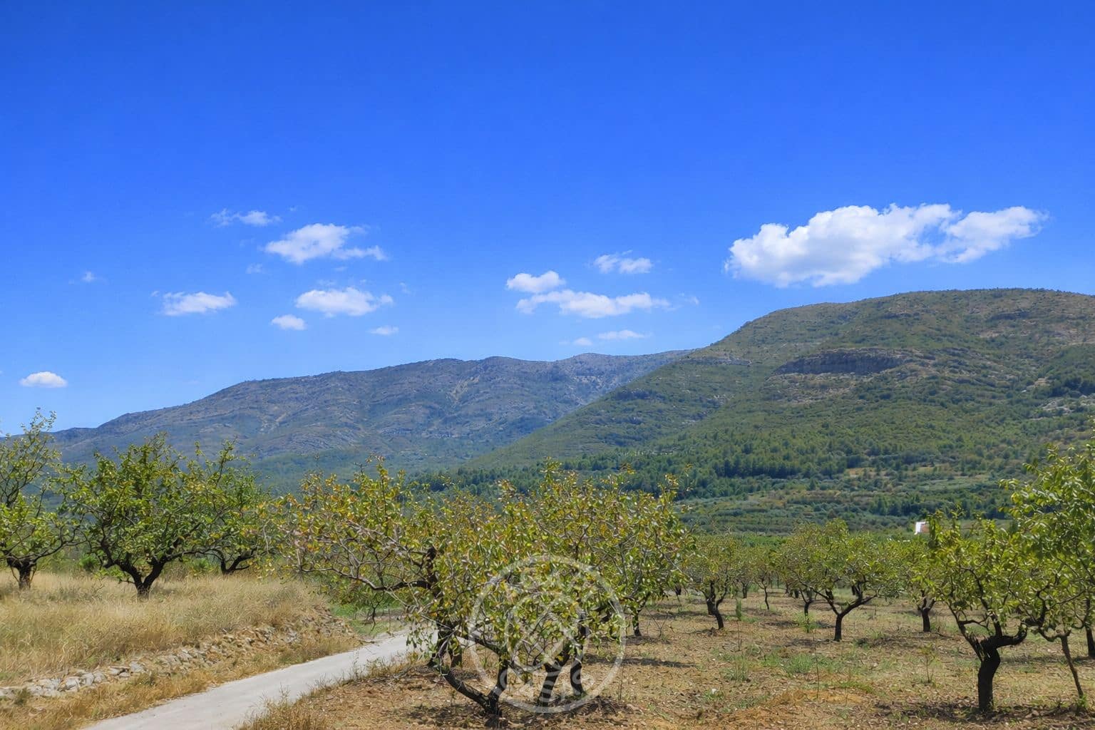 Solar/Parcela en Benigembla / Benichembla en venta - 125.000 € (Ref: 9783748)