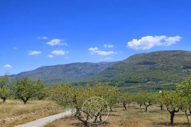 Solar/Parcela en Benigembla / Benichembla en venta - 125.000 € (Ref: 9783748)