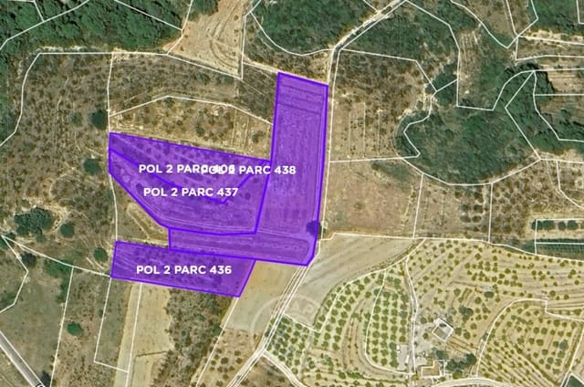 Solar/Parcela en Benigembla / Benichembla en venta - 125.000 € (Ref: 9783748)