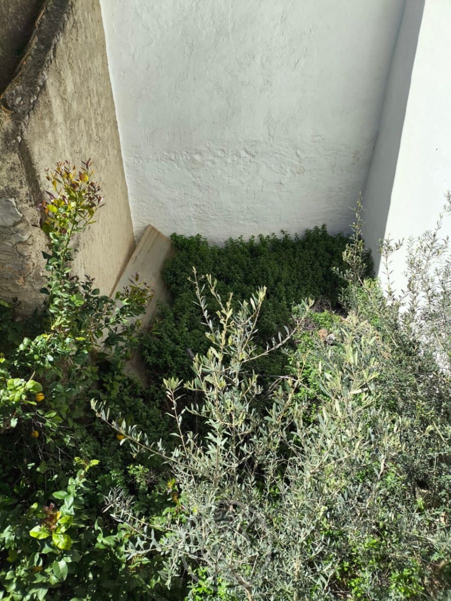 Hus til salgs i Benigembla / Benichembla med garasje - € 120 000 (Ref: 9888240)