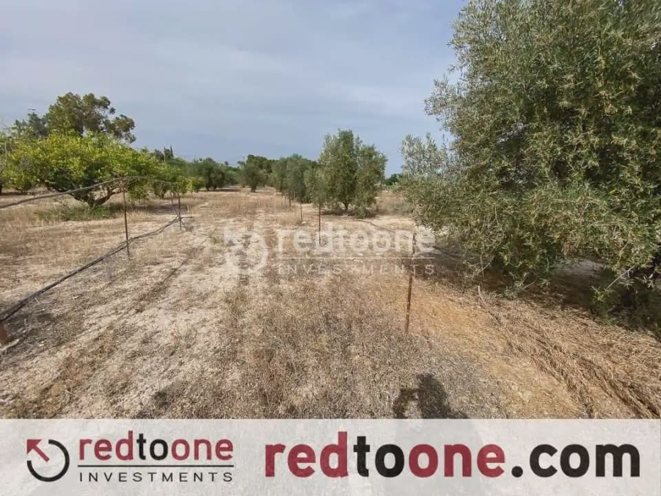 3 soveværelse Finca/Landehus til salg i Novelda med garage - € 215.000 (Ref: 10144805)