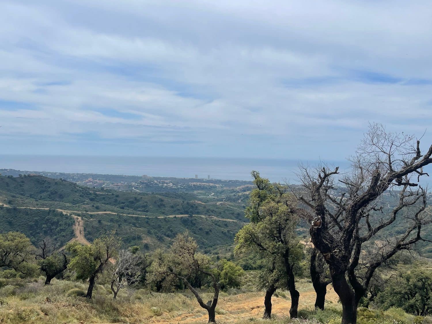 Grond te koop in Marbella - € 46.000.000 (Ref: 9838351)