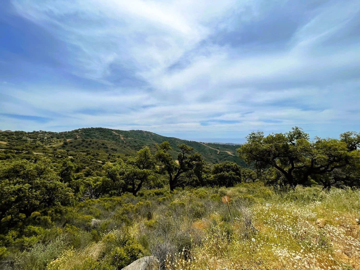 Grond te koop in Marbella - € 46.000.000 (Ref: 9838351)