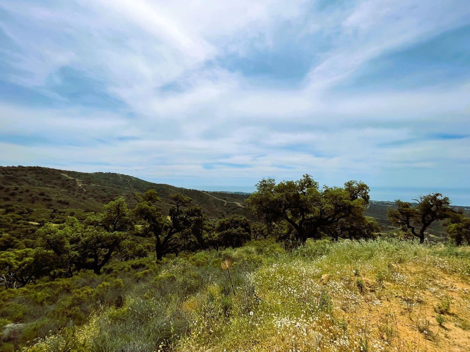 Grond te koop in Marbella - € 46.000.000 (Ref: 9838351)