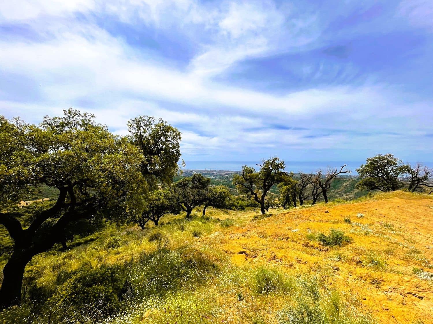 Grond te koop in Marbella - € 46.000.000 (Ref: 9838351)