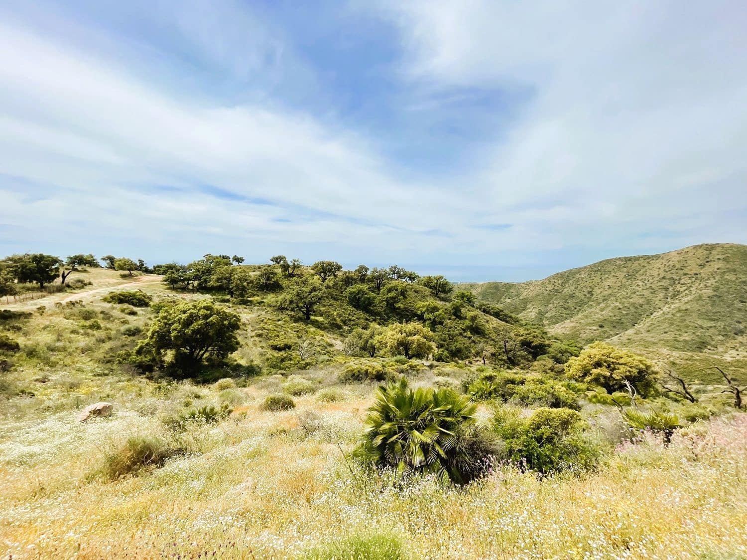 Grond te koop in Marbella - € 46.000.000 (Ref: 9838351)