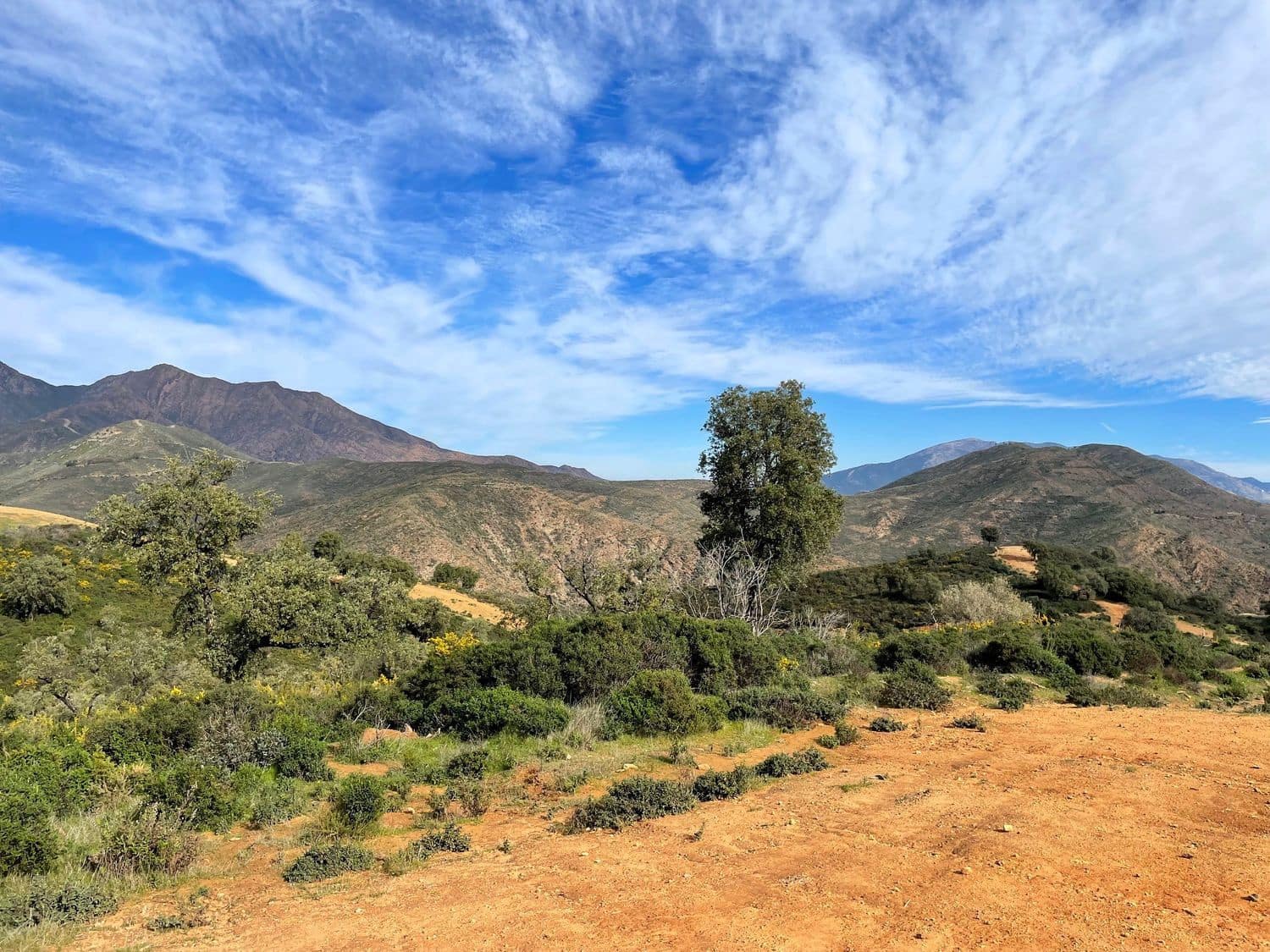 Grond te koop in La Mairena - € 23.000.000 (Ref: 9838354)