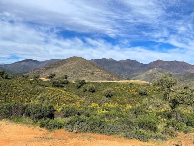 Grond te koop in La Mairena, Ojen - € 23.000.000 (Ref: 9838354)