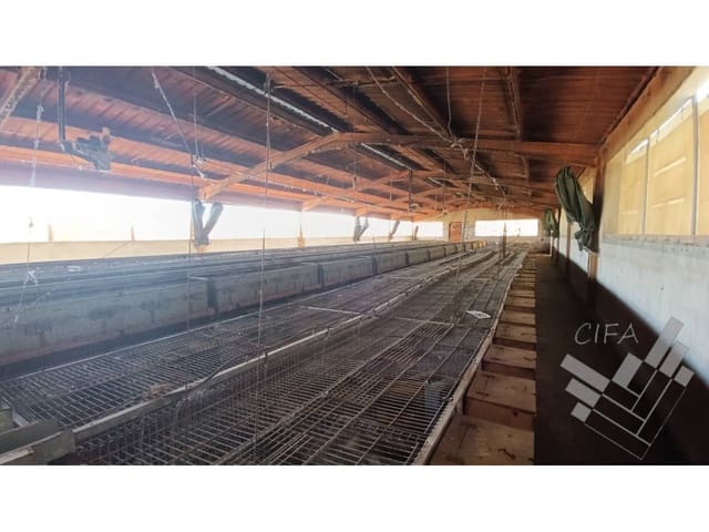 Kommersiell till salu i Rossell - 170 000 € (Ref: 8581709)