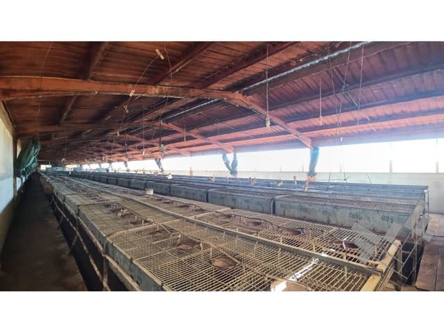 Kommersiell till salu i Rossell - 170 000 € (Ref: 8581709)