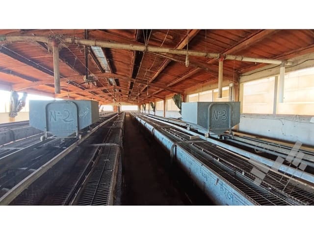 Kommersiell till salu i Rossell - 170 000 € (Ref: 8581709)