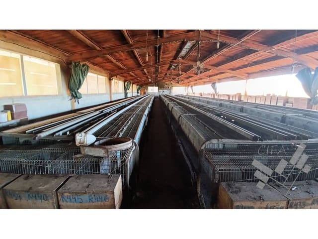 Kommersiell till salu i Rossell - 170 000 € (Ref: 8581709)