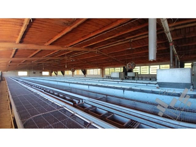 Kommersiell till salu i Rossell - 170 000 € (Ref: 8581709)