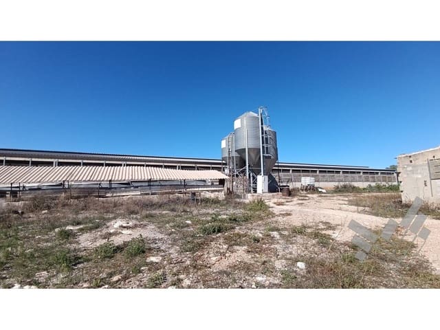 Kommersiell till salu i Rossell - 170 000 € (Ref: 8581709)