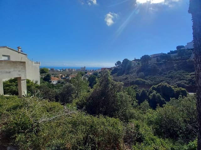 Grond te koop in Peñíscola - € 654.800 (Ref: 9379466)