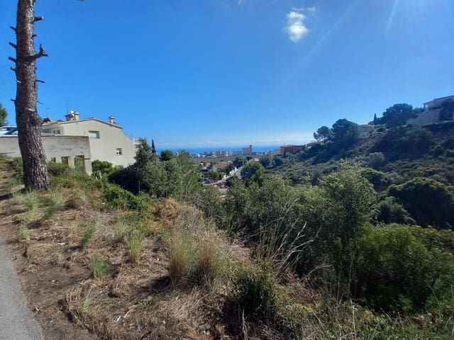 Grond te koop in Peñíscola - € 74.000 (Ref: 9379467)